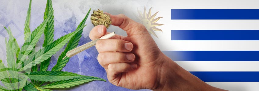  Des Pays Ouverts Au Cannabis : Uruguay